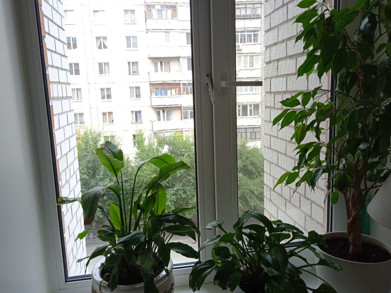 https://groznyj.delaem-okna.ru/storage/app/uploads/public/63f/332/8c0/63f3328c0d6f7867060515.jpg